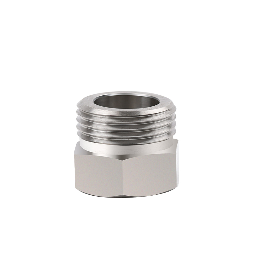ss hex nuts